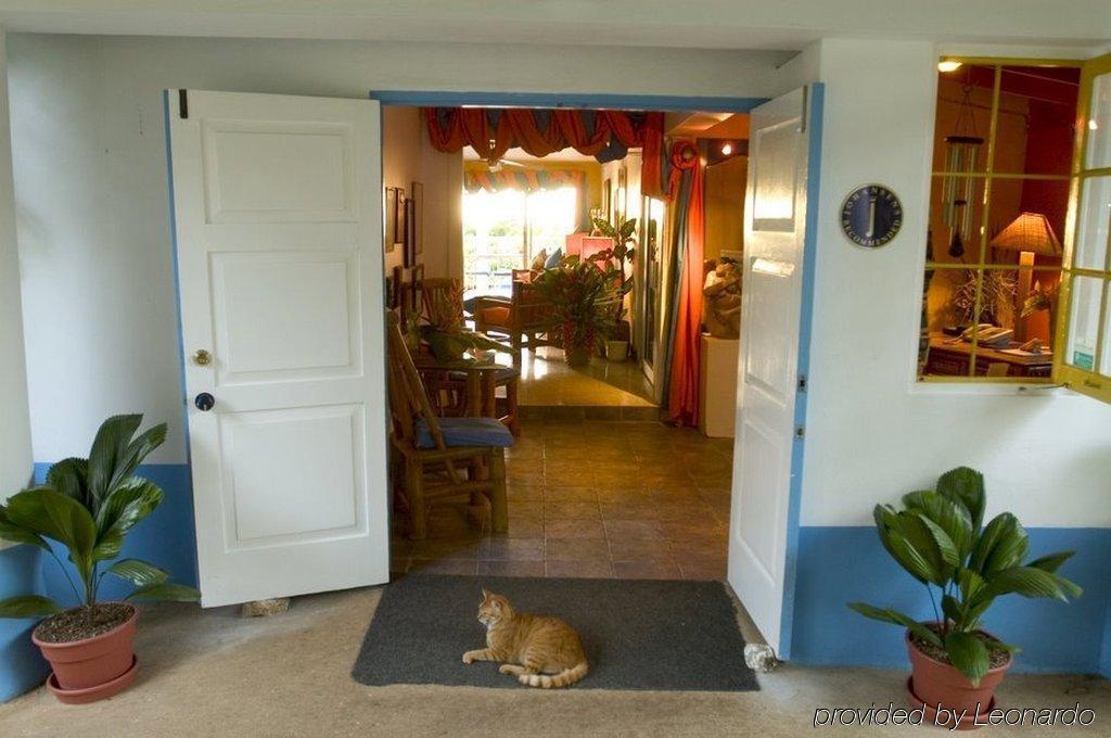 Hotel Mockingbird Hill ポート・アントニオ インテリア 写真