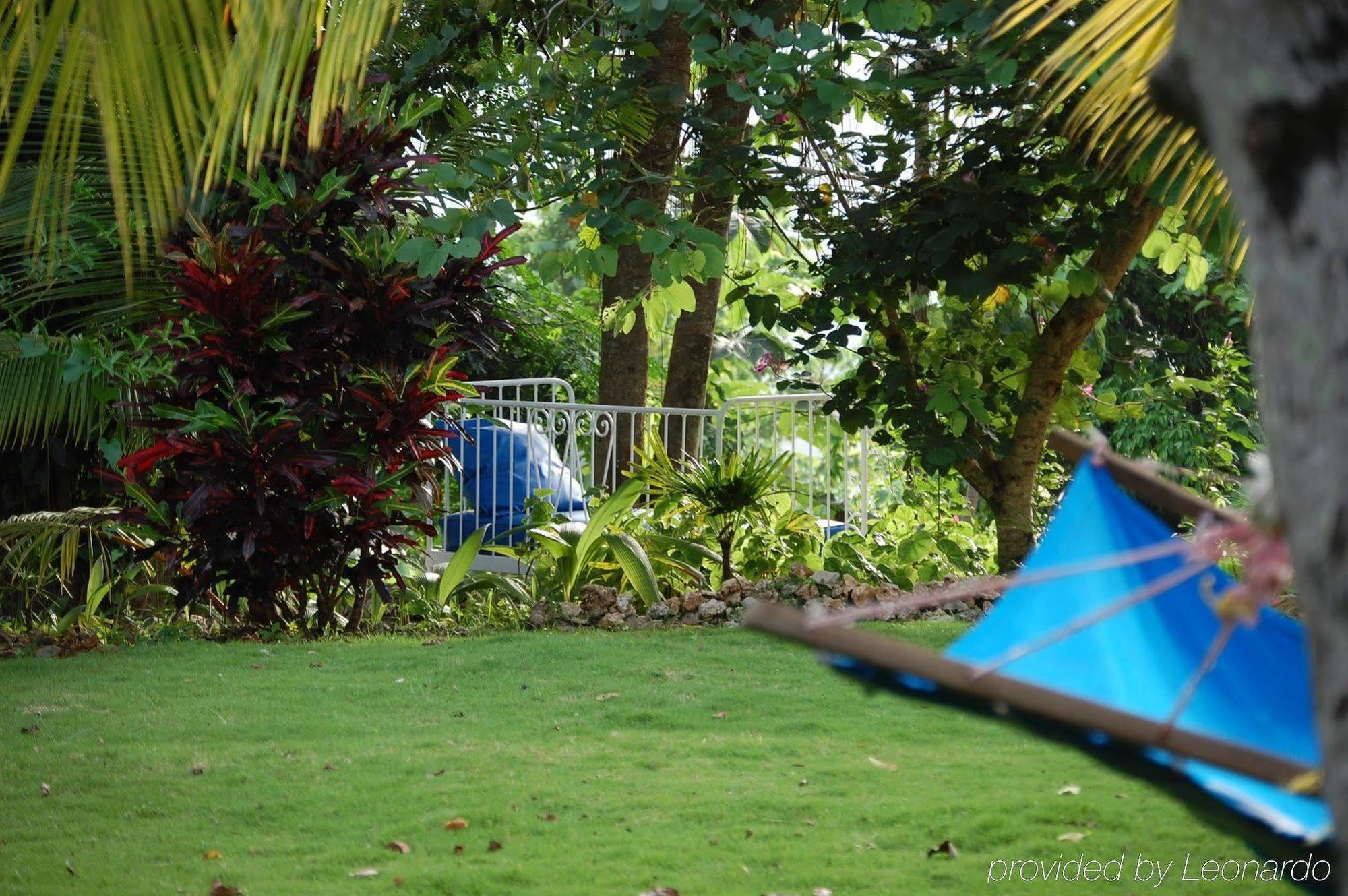 Hotel Mockingbird Hill ポート・アントニオ 設備 写真
